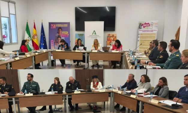 Rafaela Pastor Martínez asiste a la Comisión provincial de seguimiento contra la violencia de género